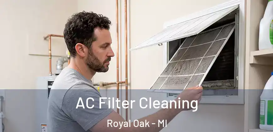 AC Filter Cleaning Royal Oak - MI