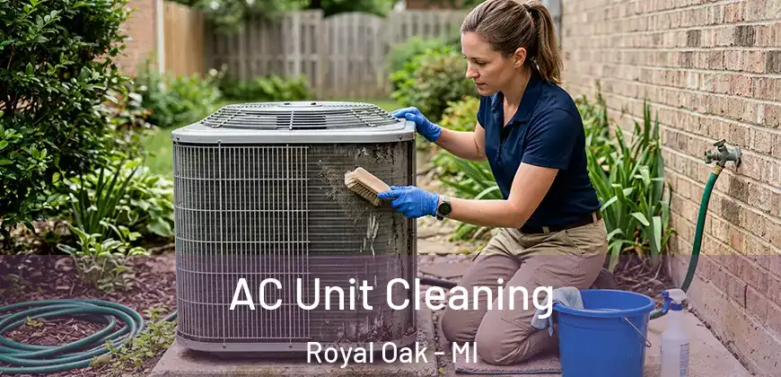 AC Unit Cleaning Royal Oak - MI